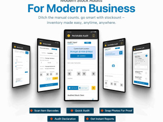 accurate-inventory-audits-system-anytime-anywhere-access